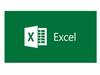 Microsoft Excel
