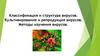 Классификация и структура вирусов. Культивирование и репродукция вирусов. Методы изучения вирусов