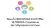 Сенсорные системы человека: слуховая и вестибулярная системы. Тема 5