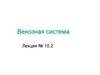 Венозная система. Лекция № 10.2