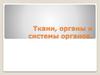 Ткани, органы и системы органов  (7 класс)