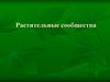 Растительные сообщества