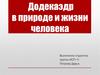 Додекаэдр в природе и жизни человека