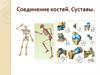Соединение костей. Суставы