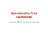 Gastrointestinal Tract Examination