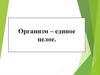 Процессы жизнедеятельности живых организмов  (5 класс)