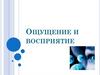 Ощущение и восприятие