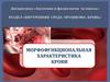 Морфофункциональная характеристика крови