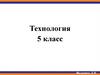 Презентация проекта. Технология. 5 класс
