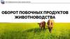 Оборот побочных продуктов животноводства