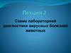 Схема лабораторной диагностики вирусных болезней животных.  Вирусные антигены