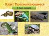 Класс Пресмыкающиеся