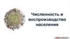 Численность и воспроизводство населения