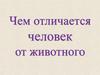 Чем отличается человек от животного?