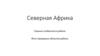 Северная Африка. Главные особенности района. Фото природных объектов района