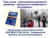 Организация дорожного движения , обязанности пешеходов и пассажиров