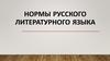 Нормы русского литературного языка