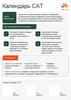 Календарь CAT