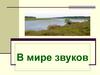 В мире звуков
