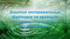 Влияние экстремальных факторов на организм человека. Стресс и его профилактика