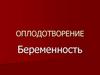 Оплодотворение. Беременность