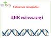 ДНҚ екі еселенуі