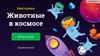 Животные в космосе. Викторина