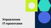 Управление IT-проектами