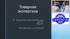 Товарная экспертиза