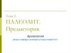 Палеолит. Предыстория. Археология