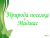 Природа поселка Мадмас