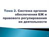 Система органов обеспечения БЖ и правового регулирования их деятельности. Тема 2