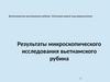 Результаты микроскопического исследования вьетнамского рубина