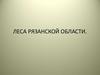 Леса Рязанской области