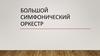 Большой симфонический оркестр