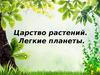 Деревья лиственные и хвойные. Царство растений. Легкие планеты