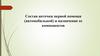 Состав аптечки первой помощи (автомобильной) и назначение ее компонентов