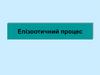 Епізоотичний процес