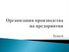 Организация производства на предприятии. Тема 6