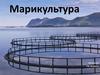 Морская аквакультура. Вводное занятие