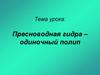 Пресноводная гидра - одиночный полип