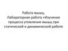 Работа мышц. Лабораторная работа «Изучение процесса утомления мышц при статической и динамической работе