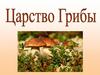 Царство Грибы. Общая характеристика грибов