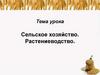Сельское хозяйство. Растениеводство