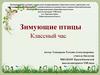 Зимующие птицы. Классный час