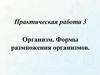 Практическая работа №3: "Организм. Формы размножения организмов"