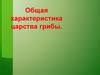 Общая характеристика царства грибы. Характерные черты