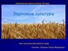 Зерновые культуры. Урок сельскохозяйственного труда