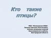 Кто такие птицы?