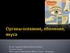 Органы осязания, обоняния, вкуса